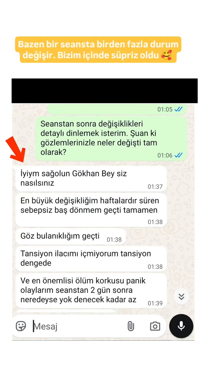 Baş dönmesi ve panik üzerine danışanın seans sonrası mesajları — kişisel bilgileri kapatılmış mesaj görseli